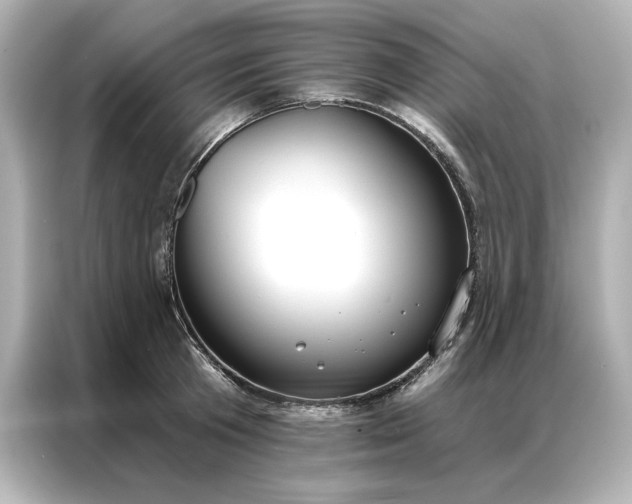 X0000086900801200704301016