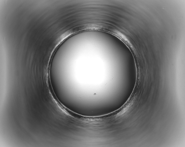 X0000086900802200704301016