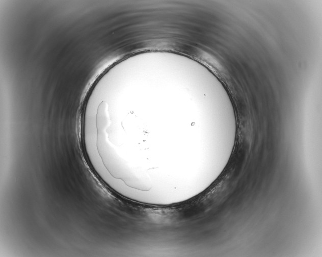 X0000086900804200704301016