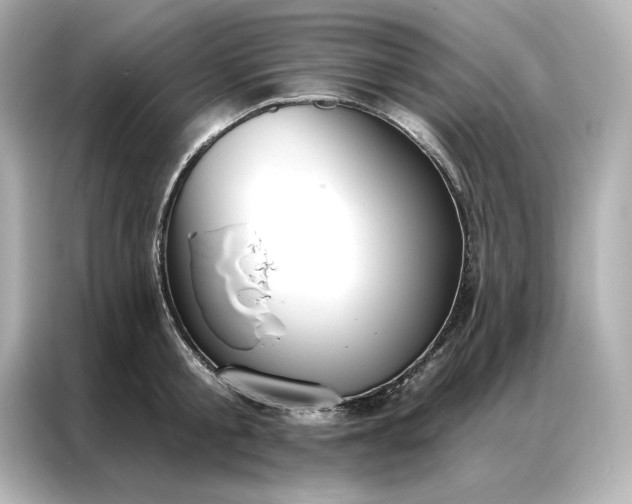 X0000086900805200704301016