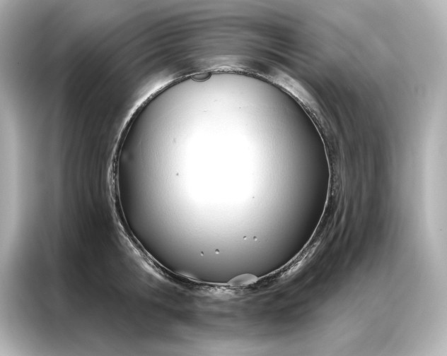 X0000086900806200704301016