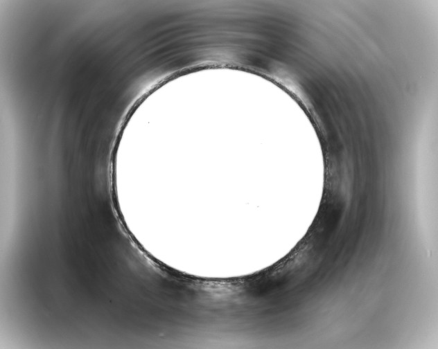 X0000086900807200704301016