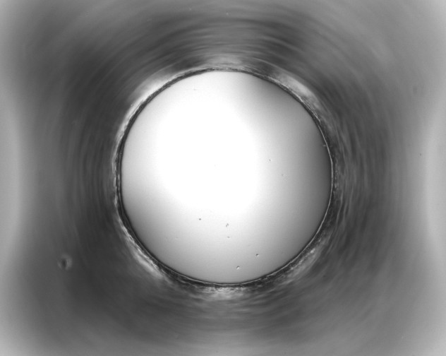 X0000086900808200704301016