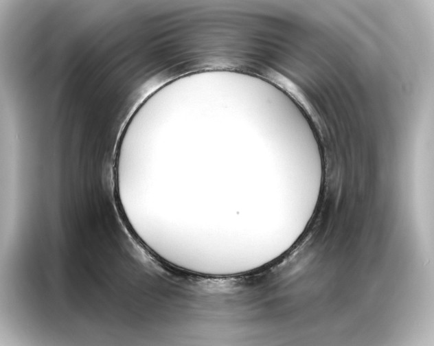 X0000086900810200704301016