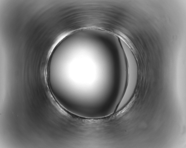 X0000086900812200704301016