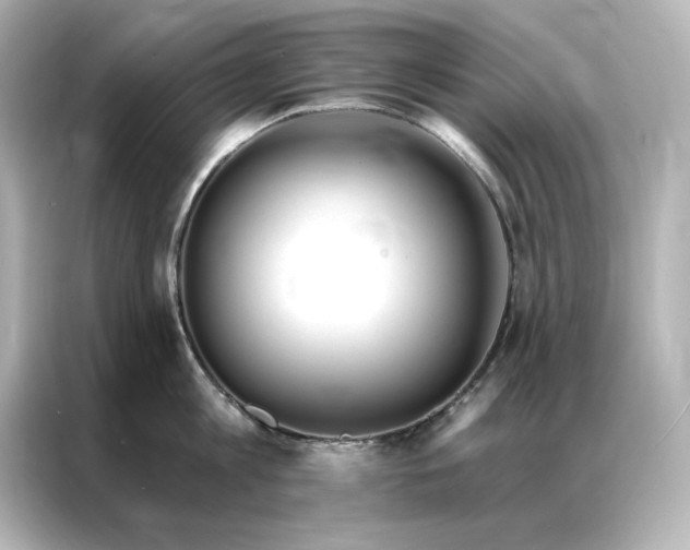 X0000086900813200704301016