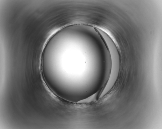 X0000086900815200704301016