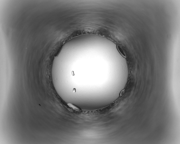 X0000086900817200704301015