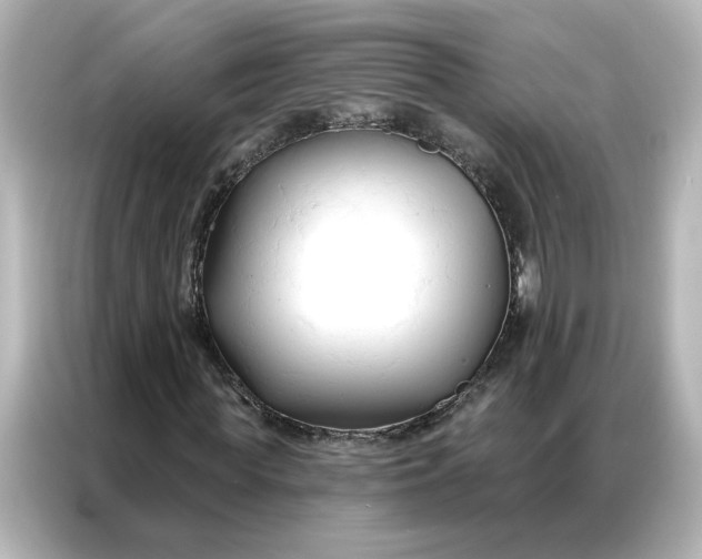 X0000086900819200704301015