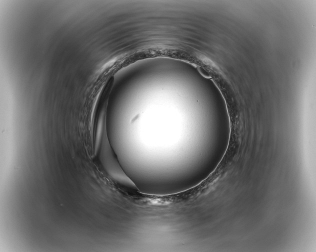 X0000086900822200704301015