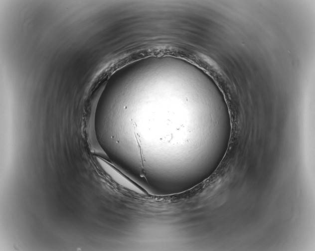 X0000086900823200704301015