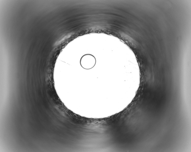 X0000086900824200704301015