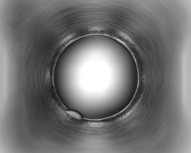 X0000086900825200704301015