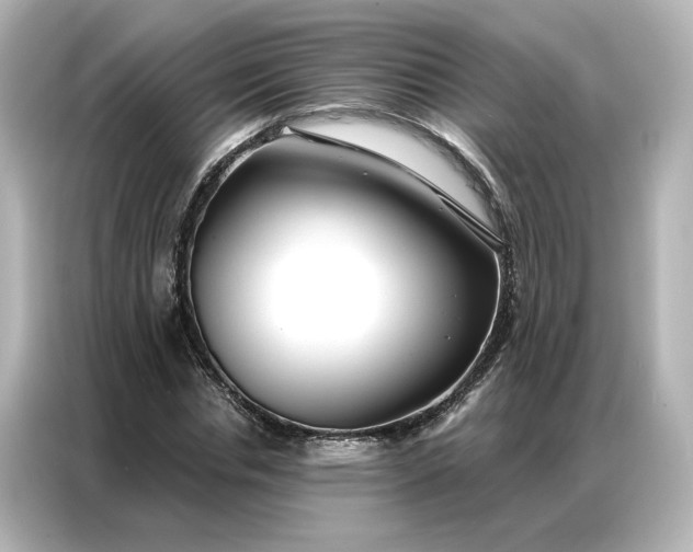 X0000086900826200704301015