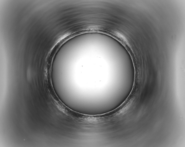 X0000086900827200704301015