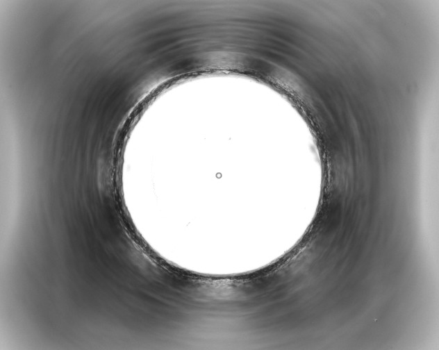 X0000086900828200704301015