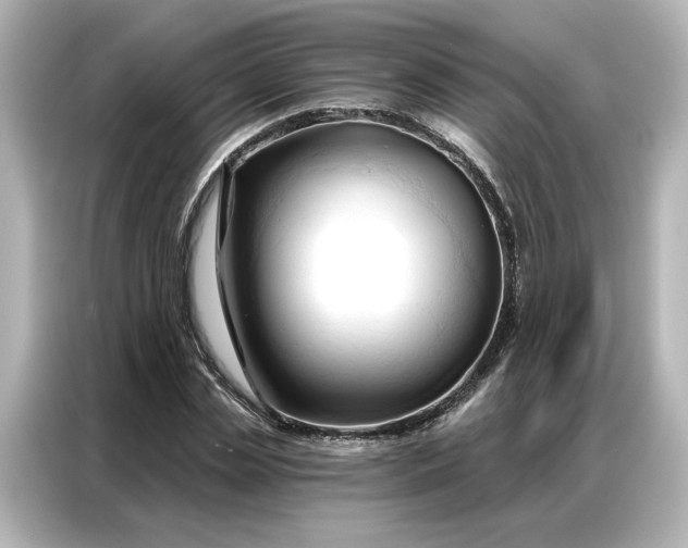 X0000086900829200704301015