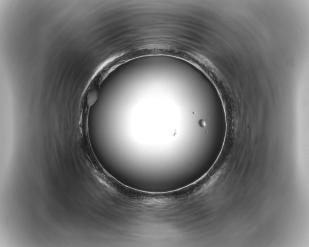 X0000086900830200704301015