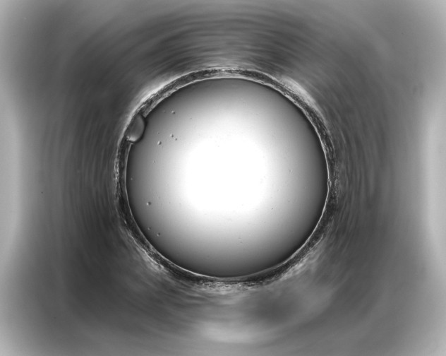 X0000086900831200704301015