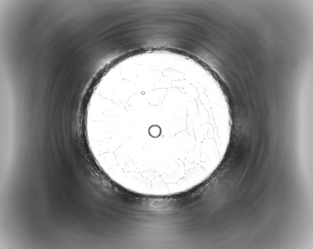 X0000086900832200704301015