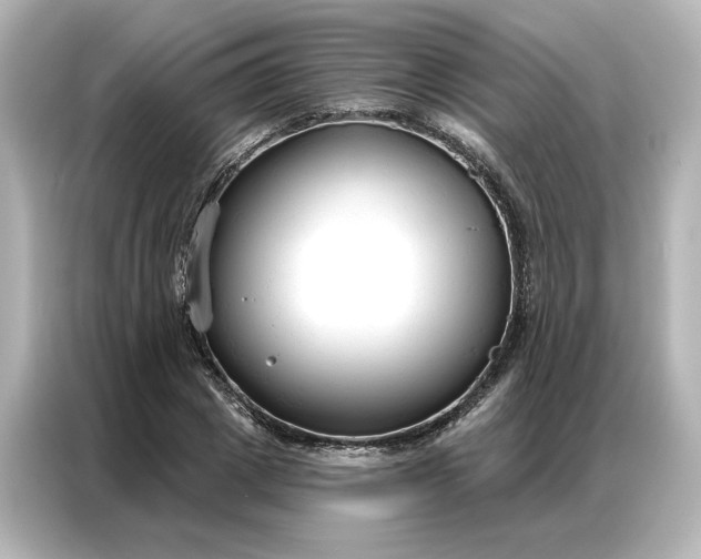 X0000086900833200704301015