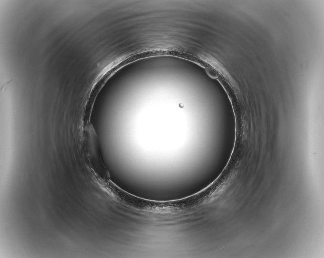 X0000086900834200704301015