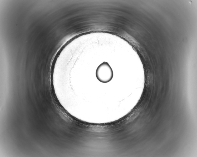 X0000086900836200704301015