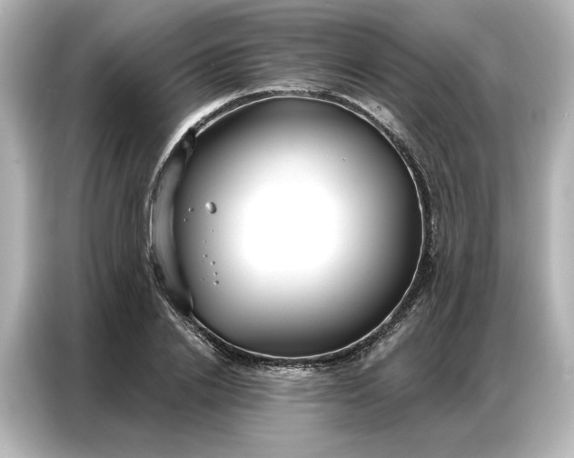 X0000086900838200704301015