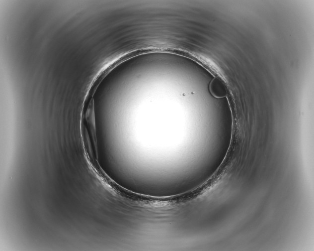 X0000086900839200704301015