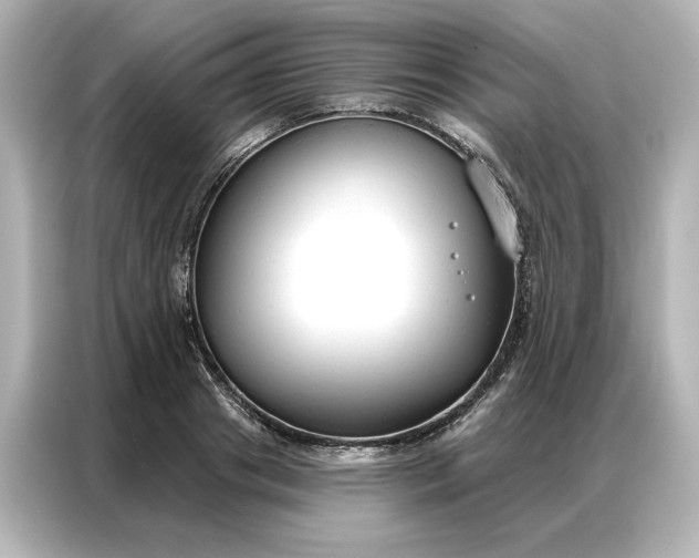 X0000086900841200704301015