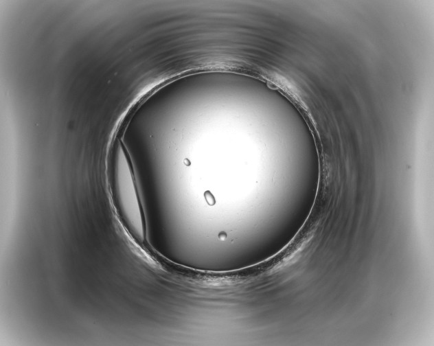 X0000086900843200704301015