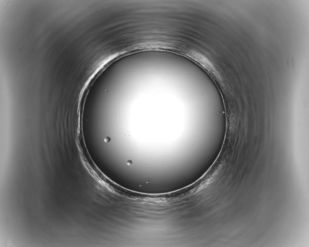 X0000086900844200704301015