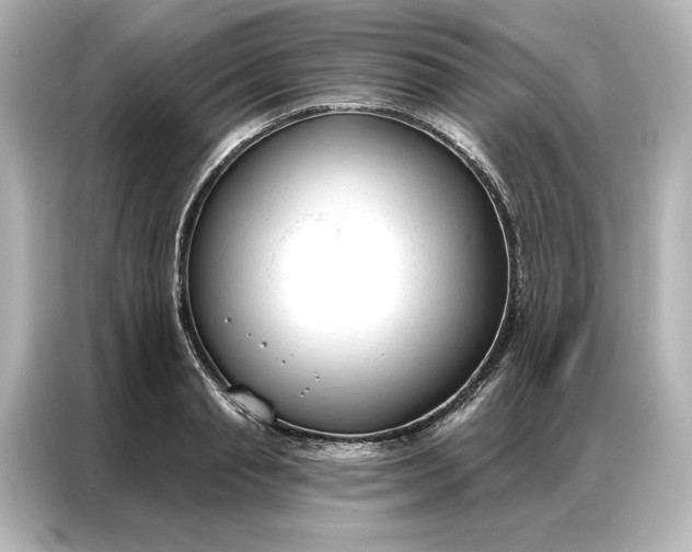 X0000086900845200704301015