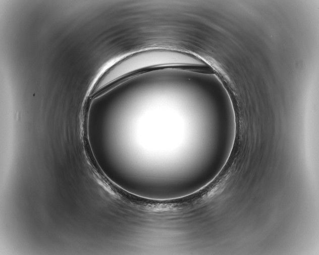 X0000086900846200704301015