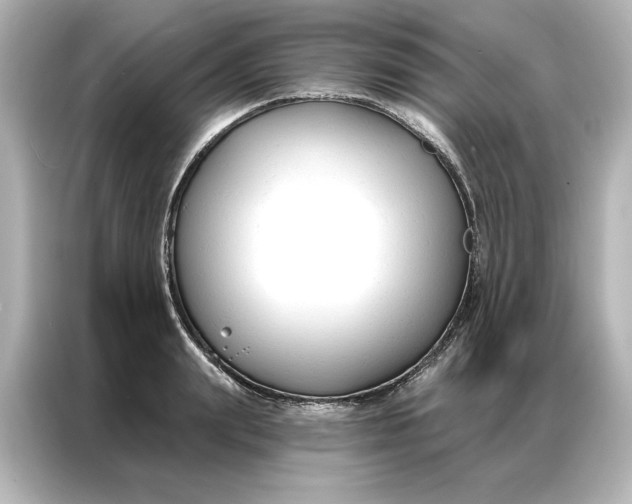 X0000086900847200704301015