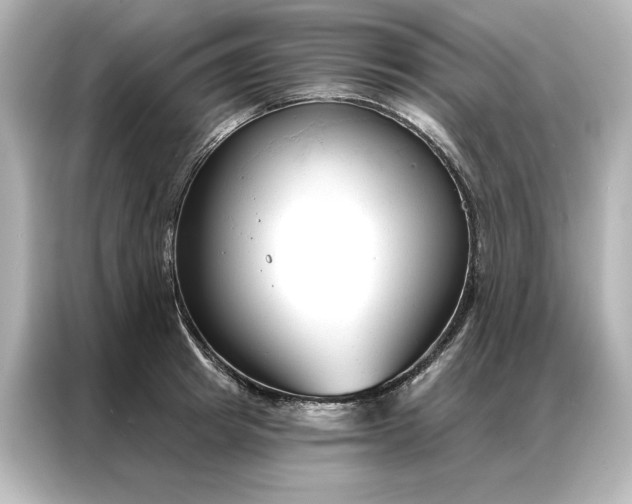 X0000086900849200704301015