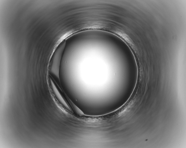 X0000086900850200704301015