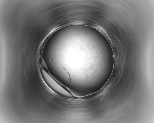 X0000086900851200704301015