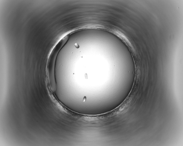 X0000086900852200704301015