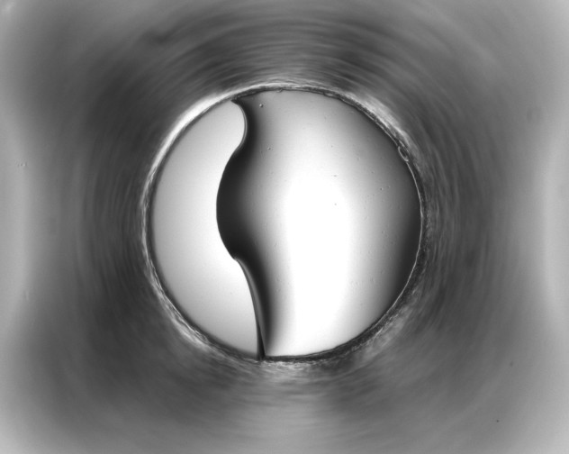 X0000086900854200704301015