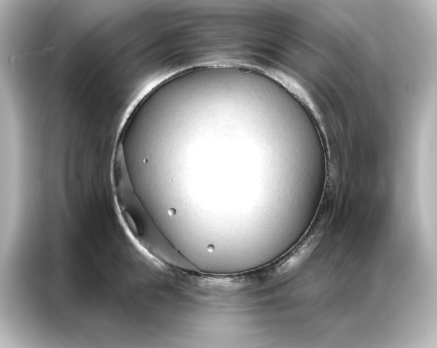 X0000086900855200704301015