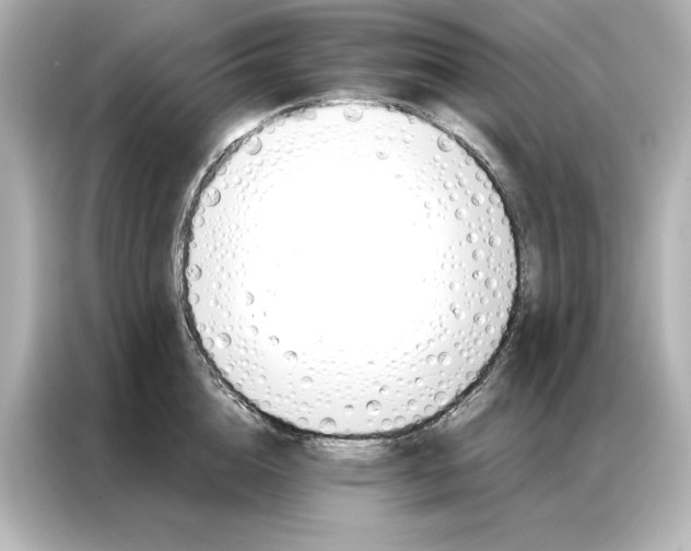 X0000086900856200704301015