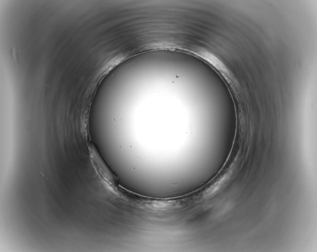 X0000086900857200704301015