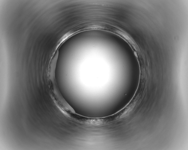 X0000086900858200704301015