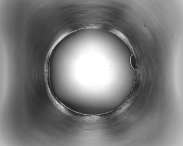 X0000086900859200704301015