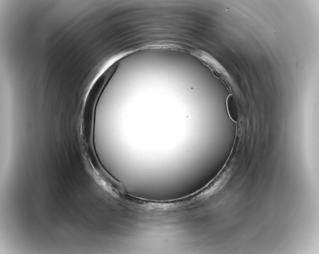 X0000086900860200704301016