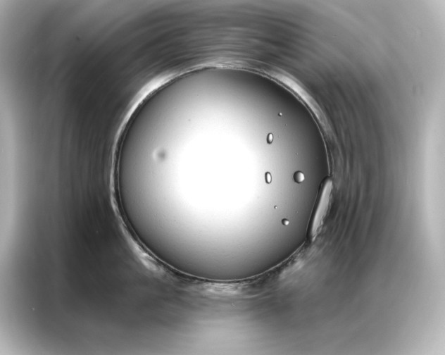 X0000086900861200704301016