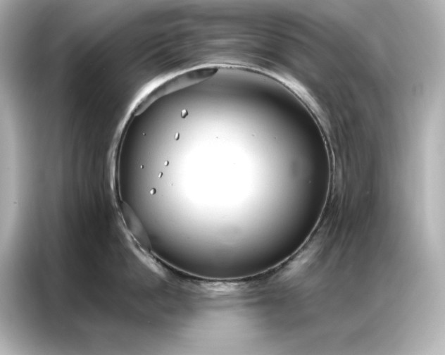 X0000086900862200704301016