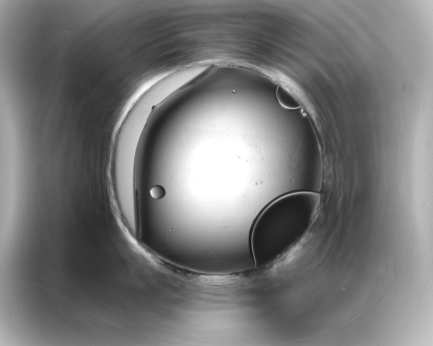 X0000086900863200704301016