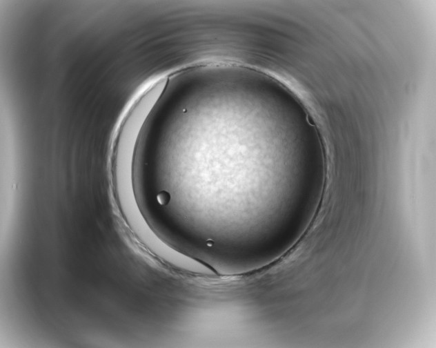 X0000086900864200704301016